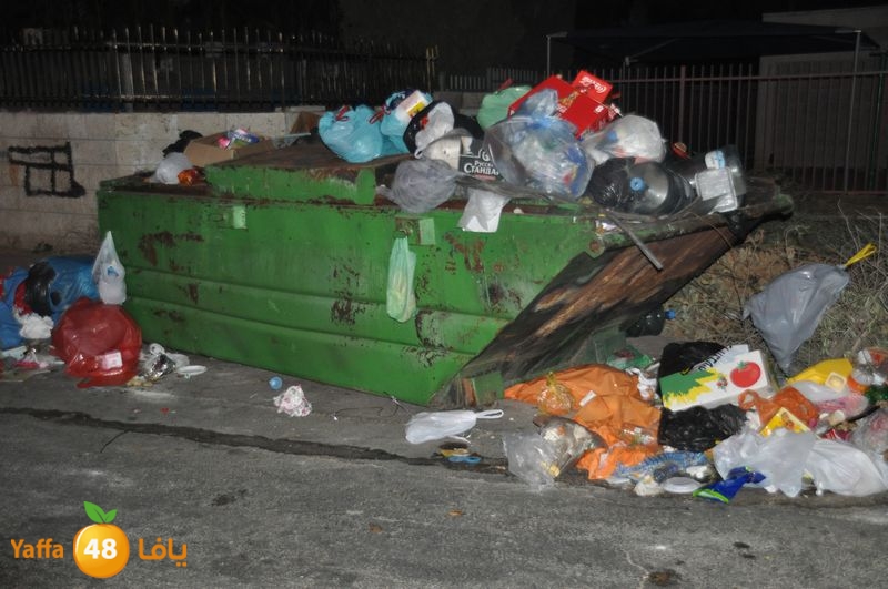 trash lud 907 (18).JPG